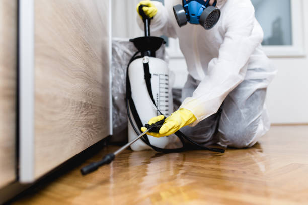 Best Pest Inspection Near Me  in Rosedale, CA