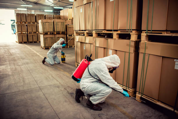 Trusted Rosedale, CA Pest Control Experts