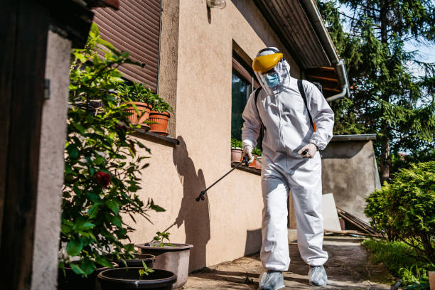 Flea Control Services in Rosedale, CA