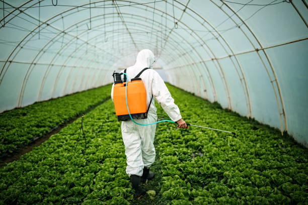 Best Pest Control Near Me  in Rosedale, CA