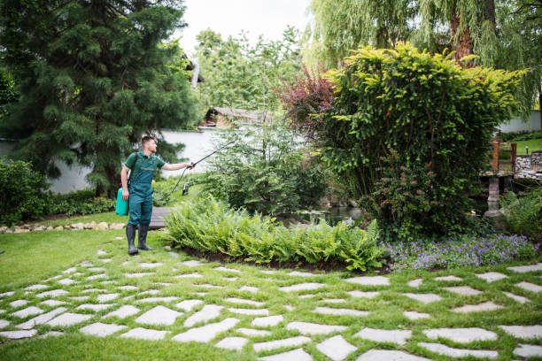 Best Bird Control  in Rosedale, CA