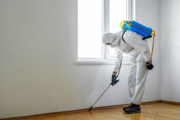 Best Wildlife Control Services  in Rosedale, CA