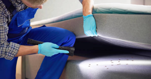 Best Exterminator Services  in Rosedale, CA