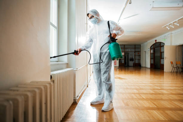 Best Mosquito Control Services  in Rosedale, CA